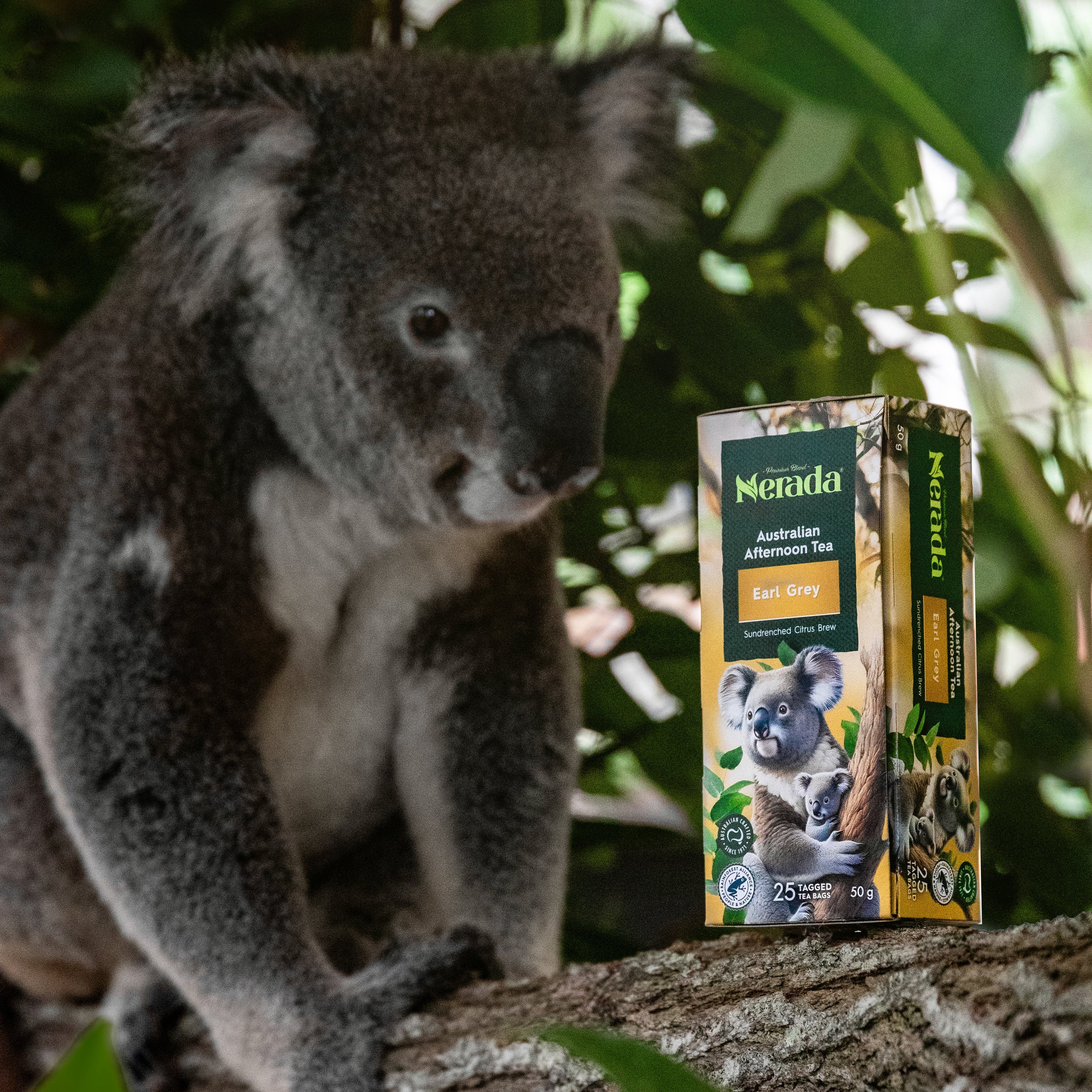 Australian Afternoon Tea 25 Pack