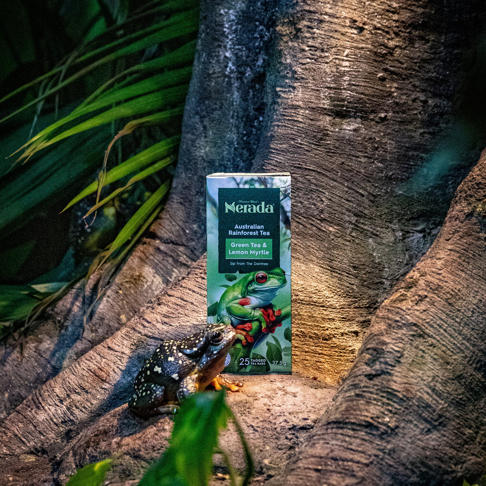 Australian Rainforest Tea 25 Pack