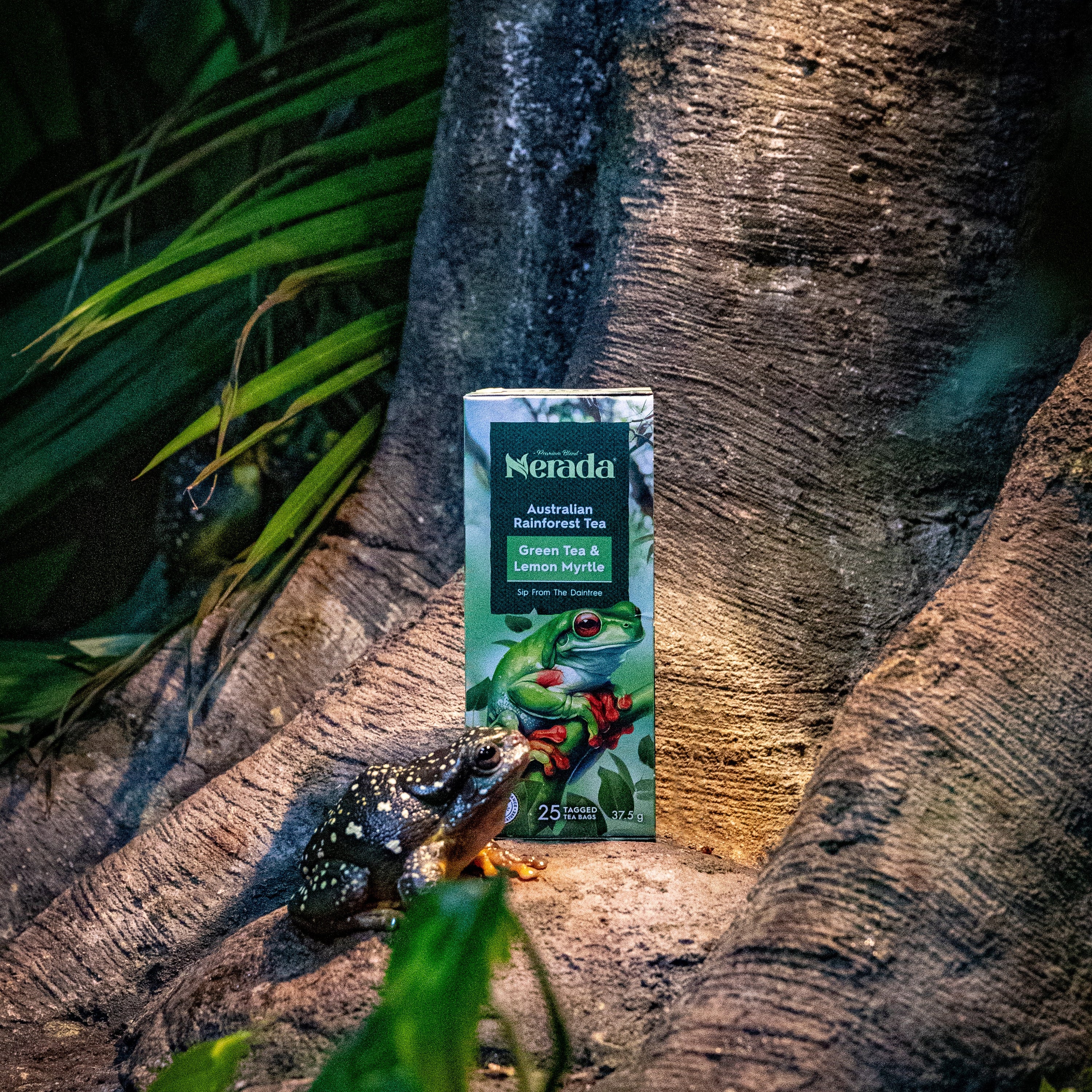 Australian Rainforest Tea 25 Pack